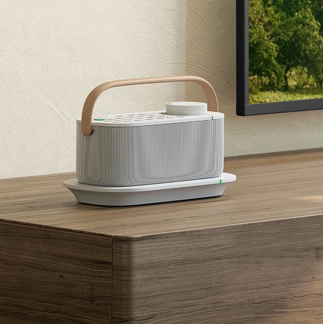 Sony wireless-speakers.